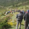 VII_MarchaSenderismo2014 (35)